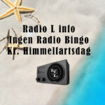 Info om Bingo