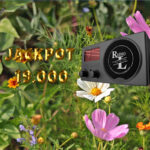 Jackpot uke 24