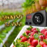 Jackpot uke 27