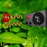 Jackpot uke 28